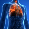 Christina M&uuml;ller Fach&auml;rztin f&uuml;r Innere Medizin und Gastroenterologie Seegebiet Mansfelder Land